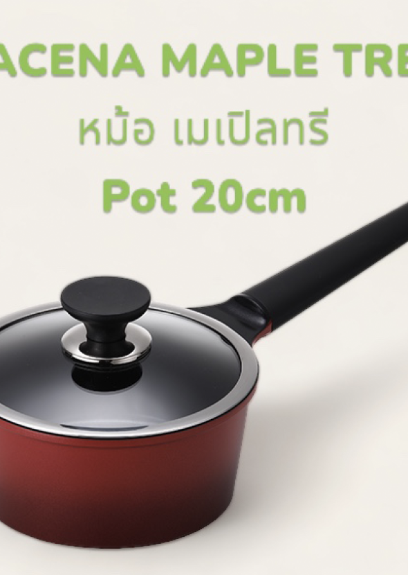 หม้อ เมเปิลทรี  แม่เหล็กไฟฟ้า/MAPLE TREE Induction  Pot 20cm