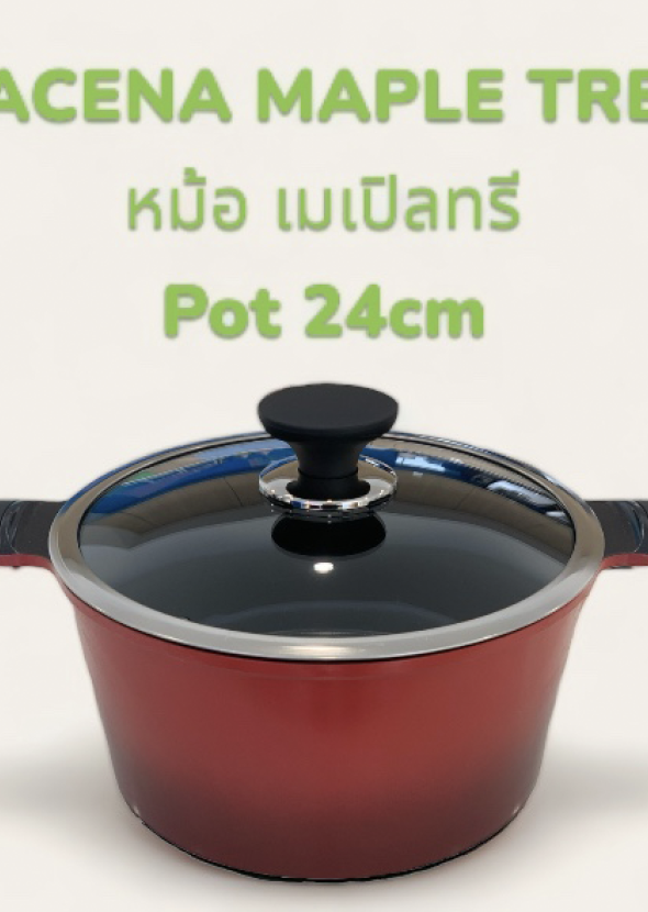 หม้อ เมเปิลทรี  แม่เหล็กไฟฟ้า / MAPLE TREE Pot 24cm
