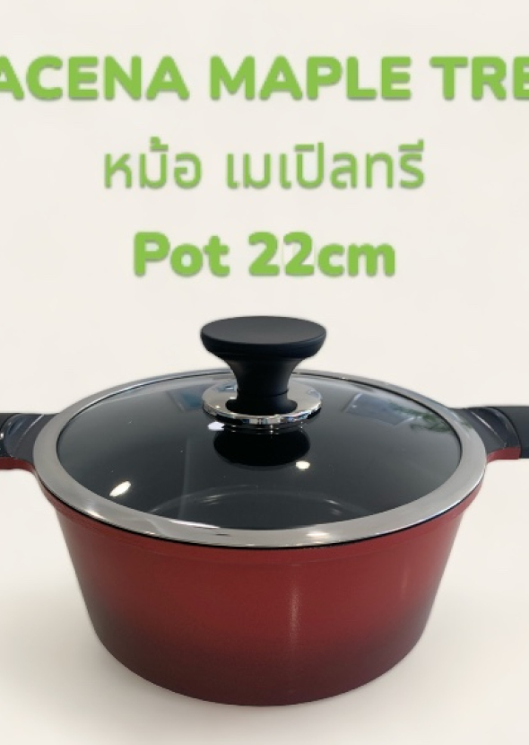หม้อ เมเปิลทรี  แม่เหล็กไฟฟ้า /MAPLE TREE  Pot 22cm