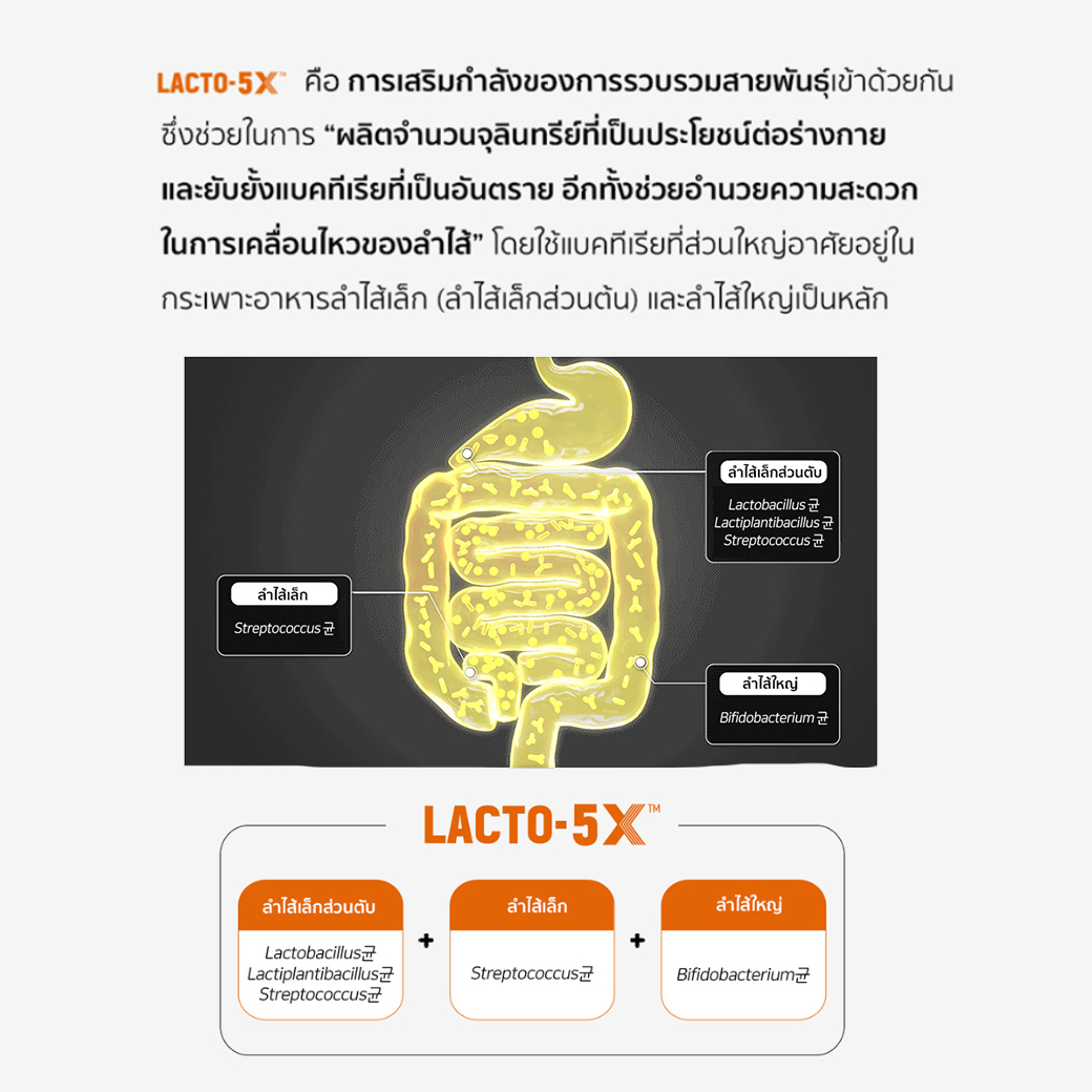 Lacto-fit 5X สูตรใหม่!  แลคโตฟิต โพรไบโอติกส์ พรีไบโอติกส์ 1 กล่อง มี  10  ซอง 
