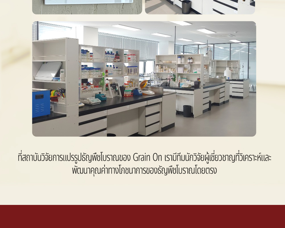 [GRAINON] L'ecceellente Farro Enzyme