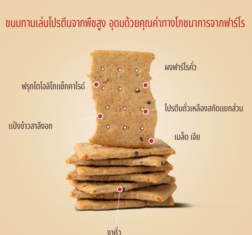 [GRAINON] Farro Low Sugar Protein Chip